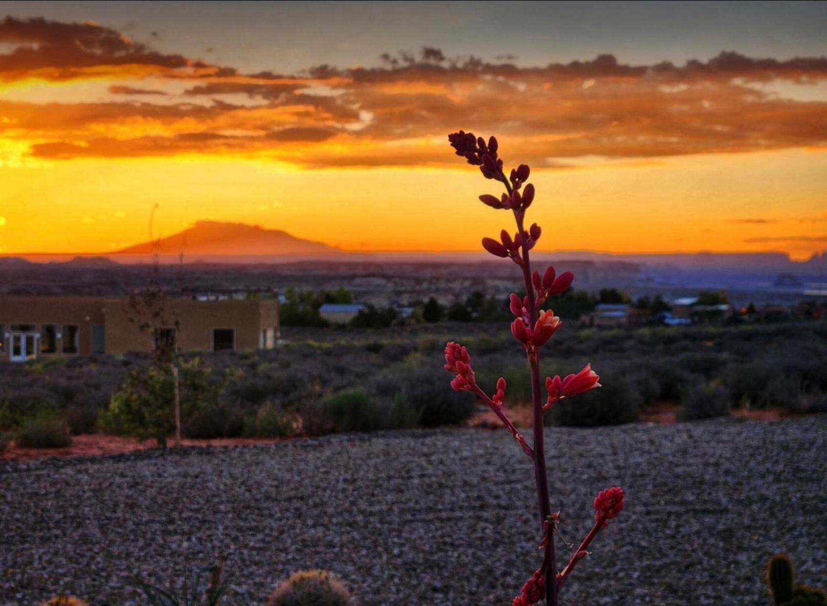 Page Arizona Border Town- Crimson Suite, Desert Canyon Getaway With Views Big Water Extérieur photo
